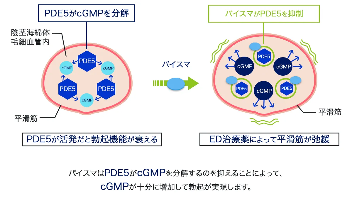 バイスマの効果