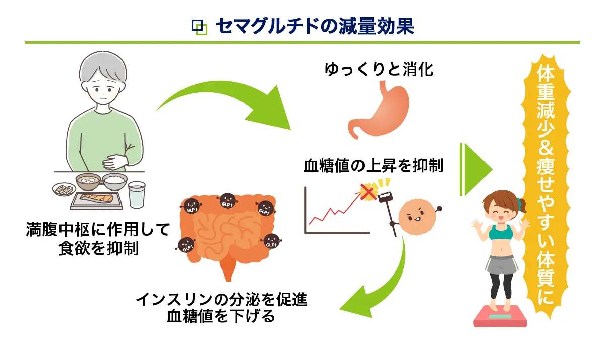 セマグルチドの減量効果