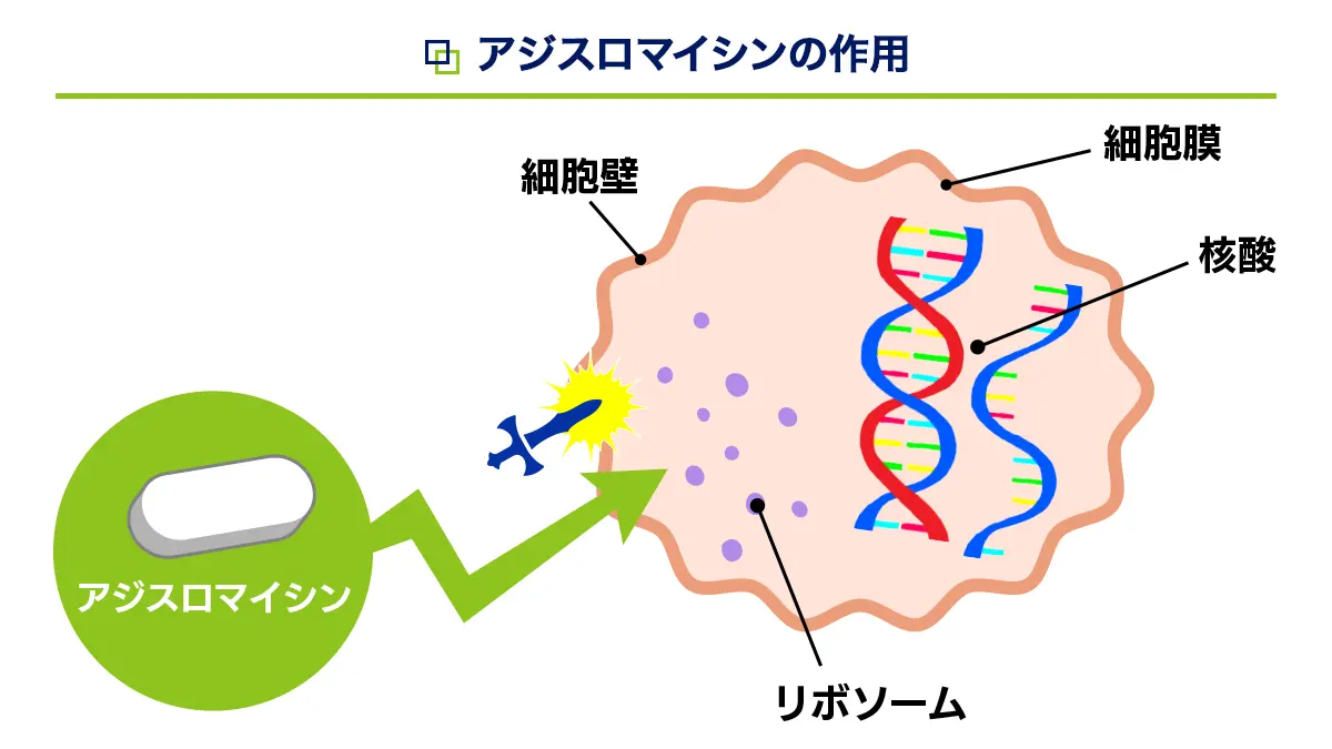 アジスドライシロップの作用