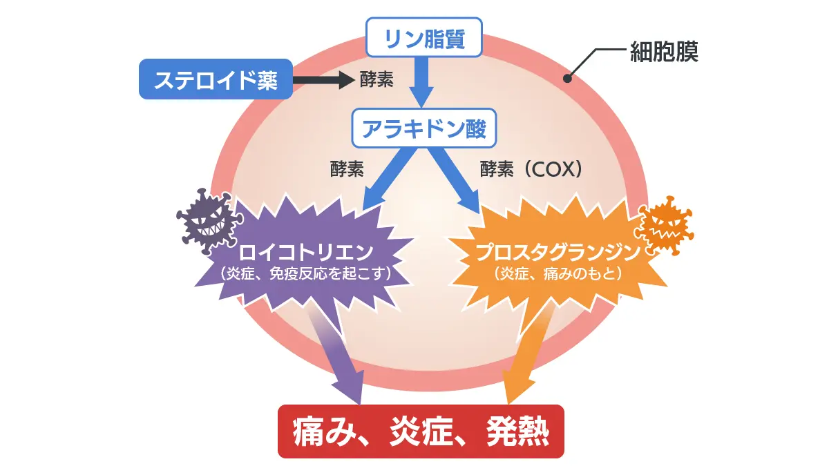 デキサメタゾンの効果