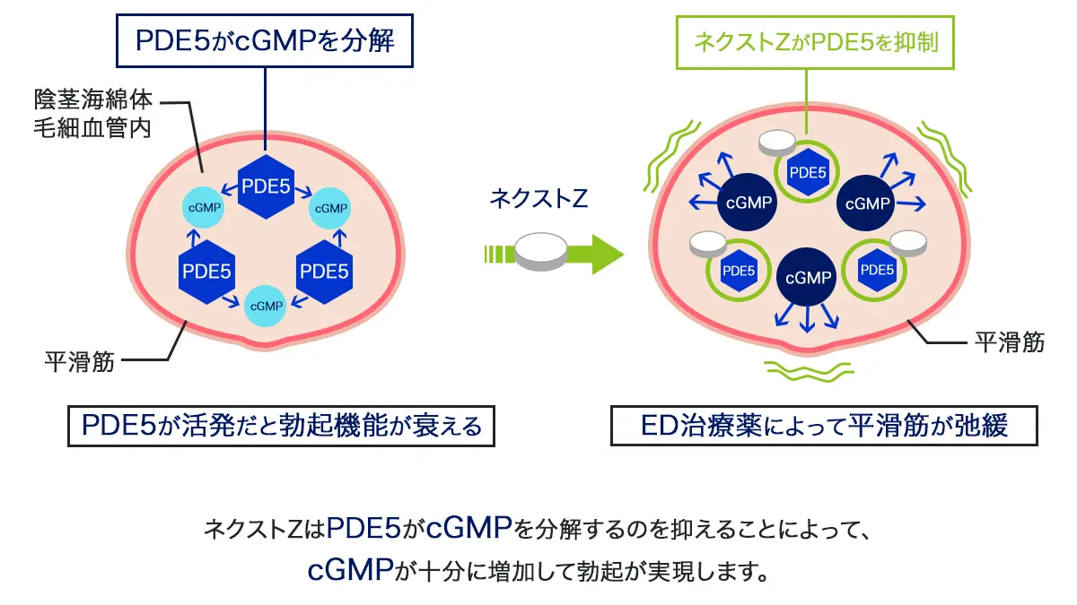 ネクストZの効果