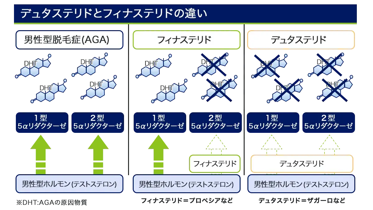 デュタストロンの有効成分
