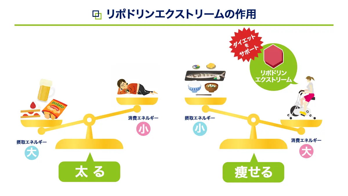 リポドリンエクストリームの効果