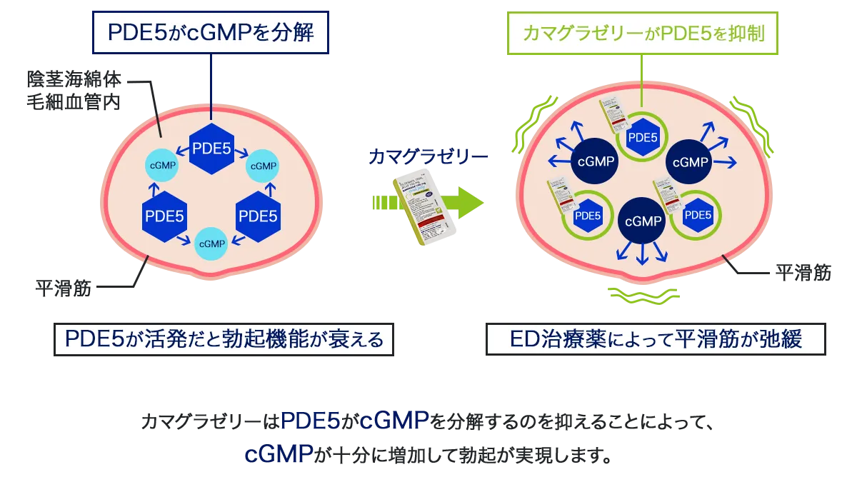 カマグラゼリーの効果