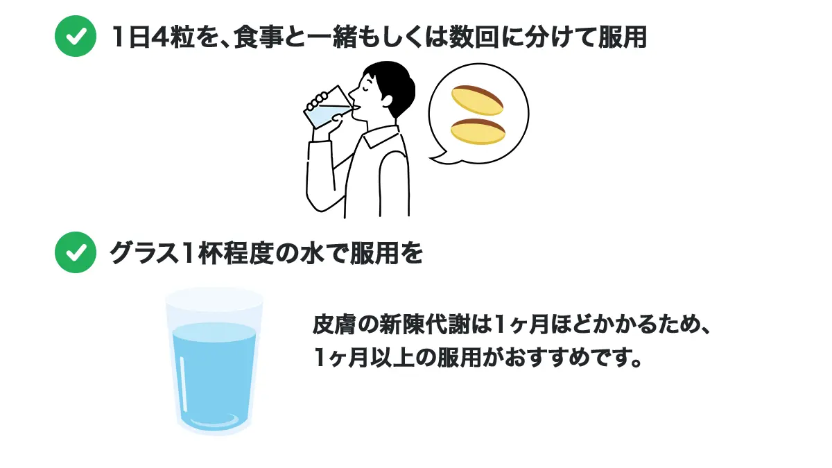 セルライトリダクションの服用方法