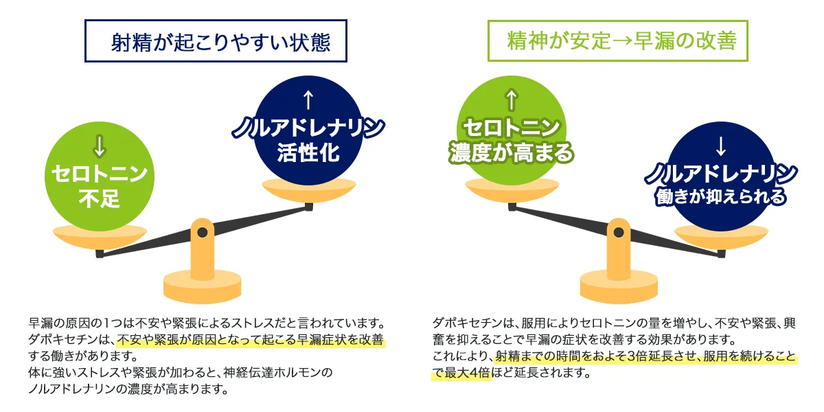 スーパーハードオンの早漏改善の仕組み