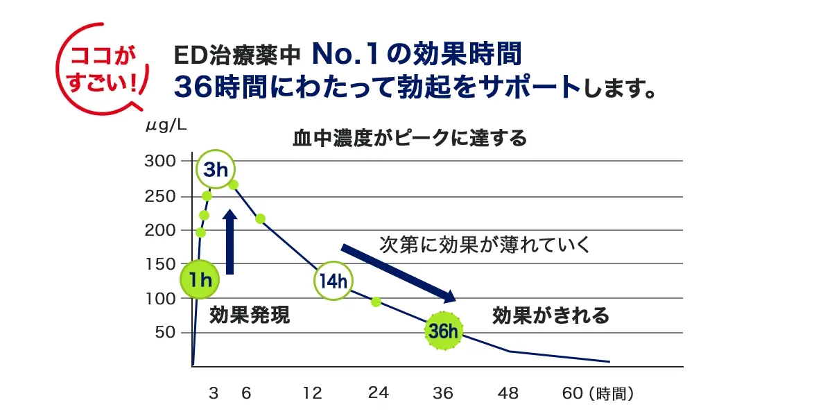 タダライズの作用時間