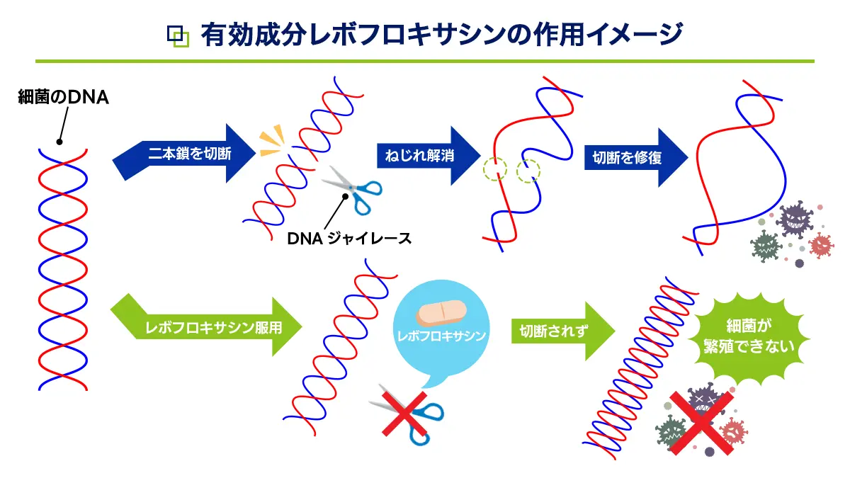 レボフロックスの有効成分