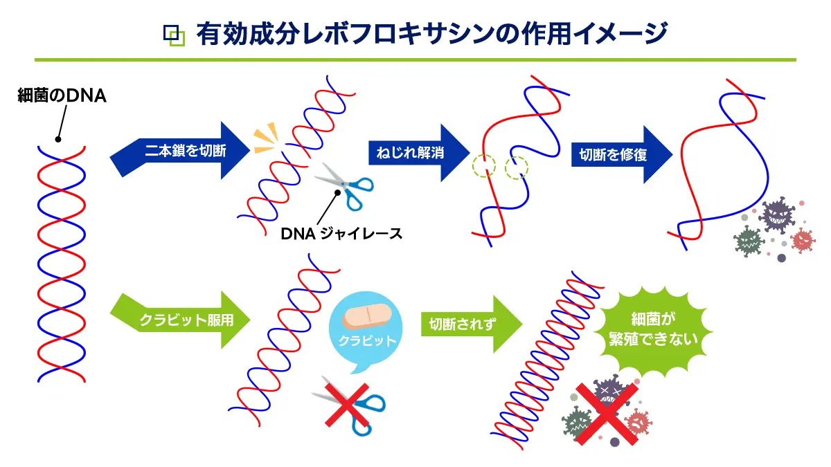 クラビットの有効成分