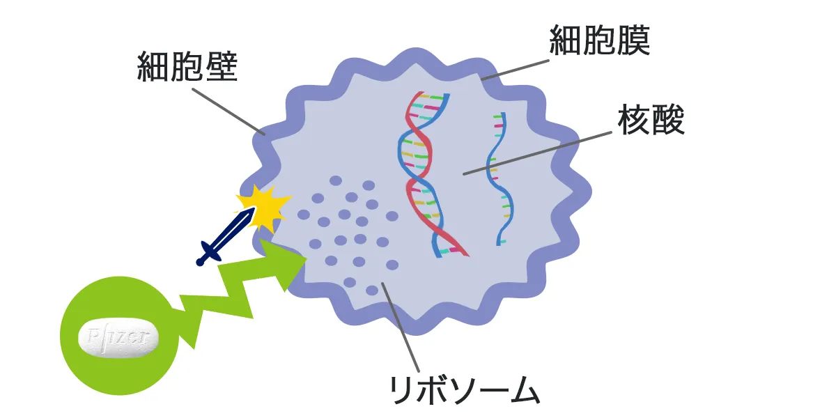 ゾクラーの有効成分