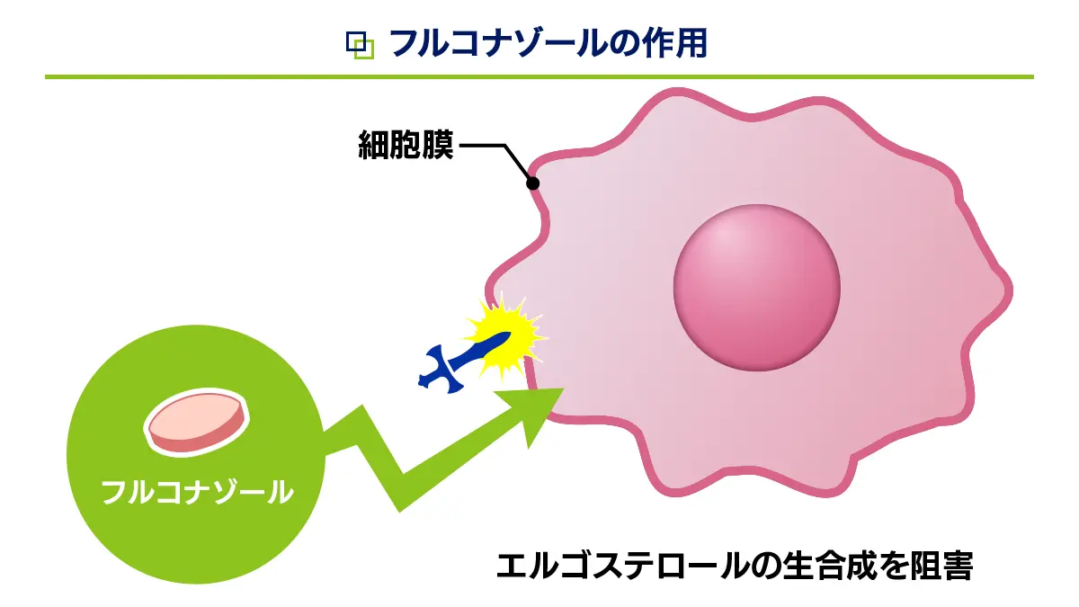 フルコナゾールの作用