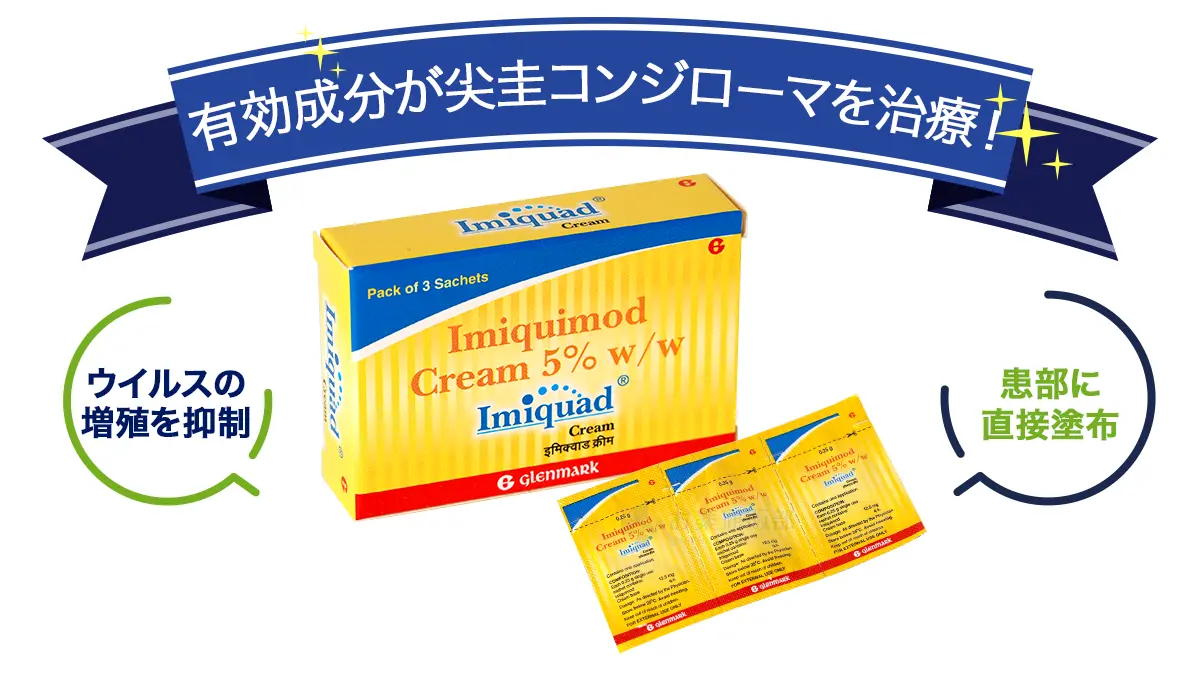 イミクアッドの特徴