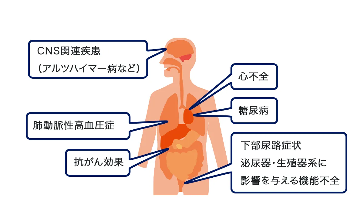 副次的メリット