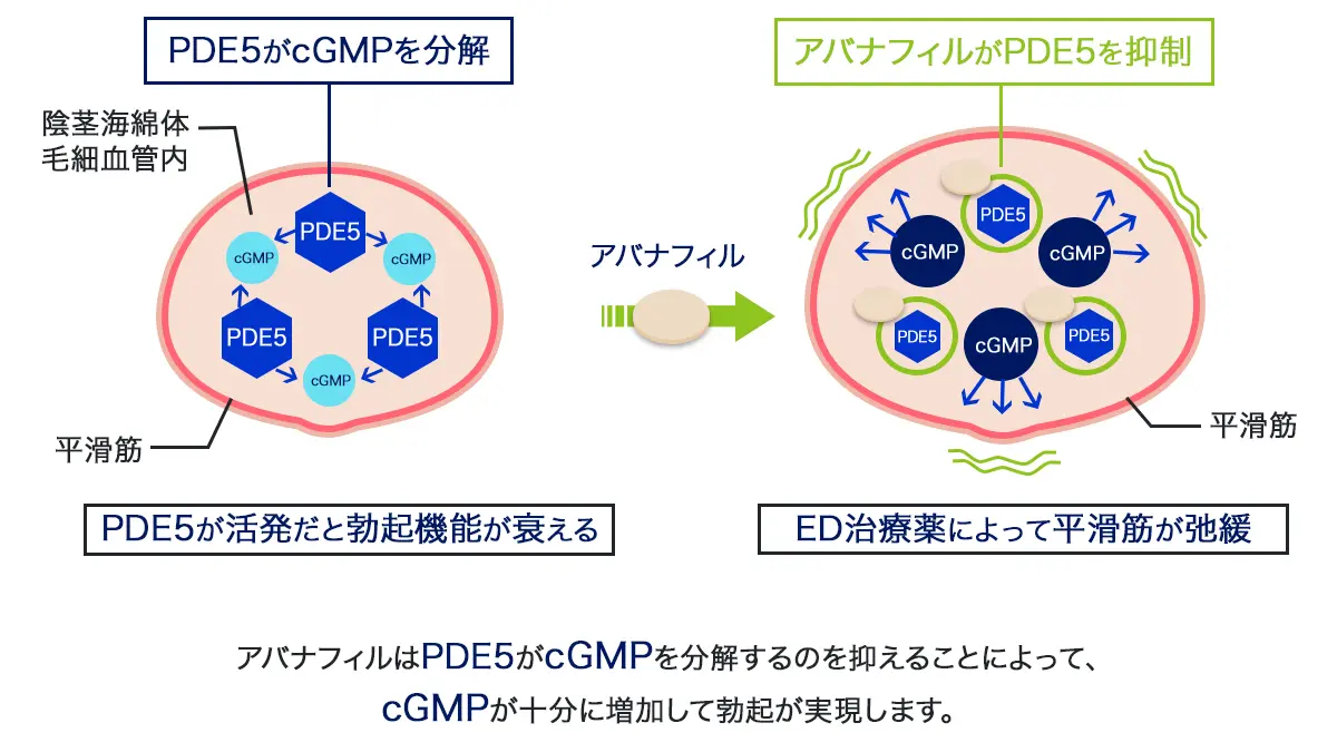 ドラスマの効果