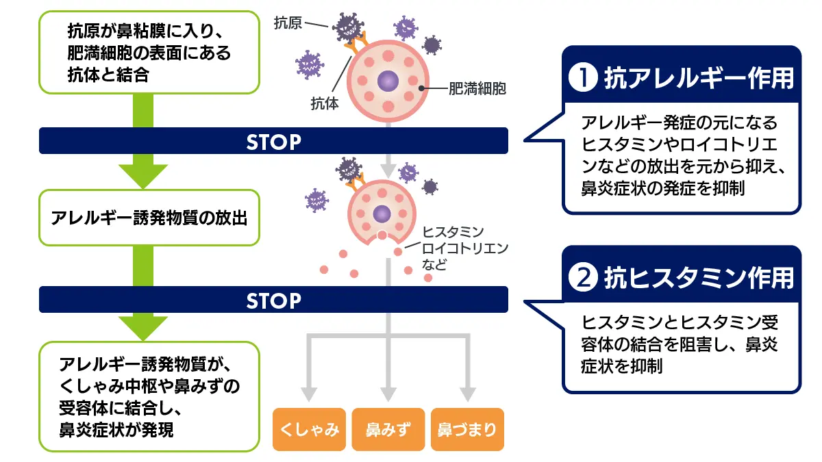 アレグラの効果