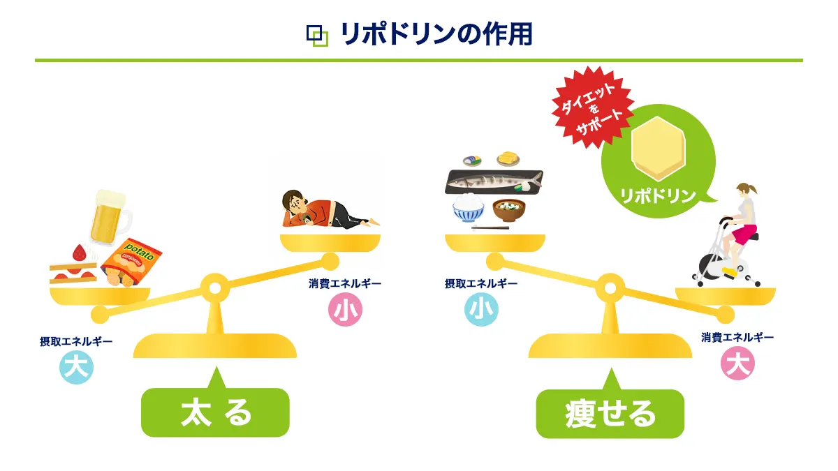 リポドリンの効果
