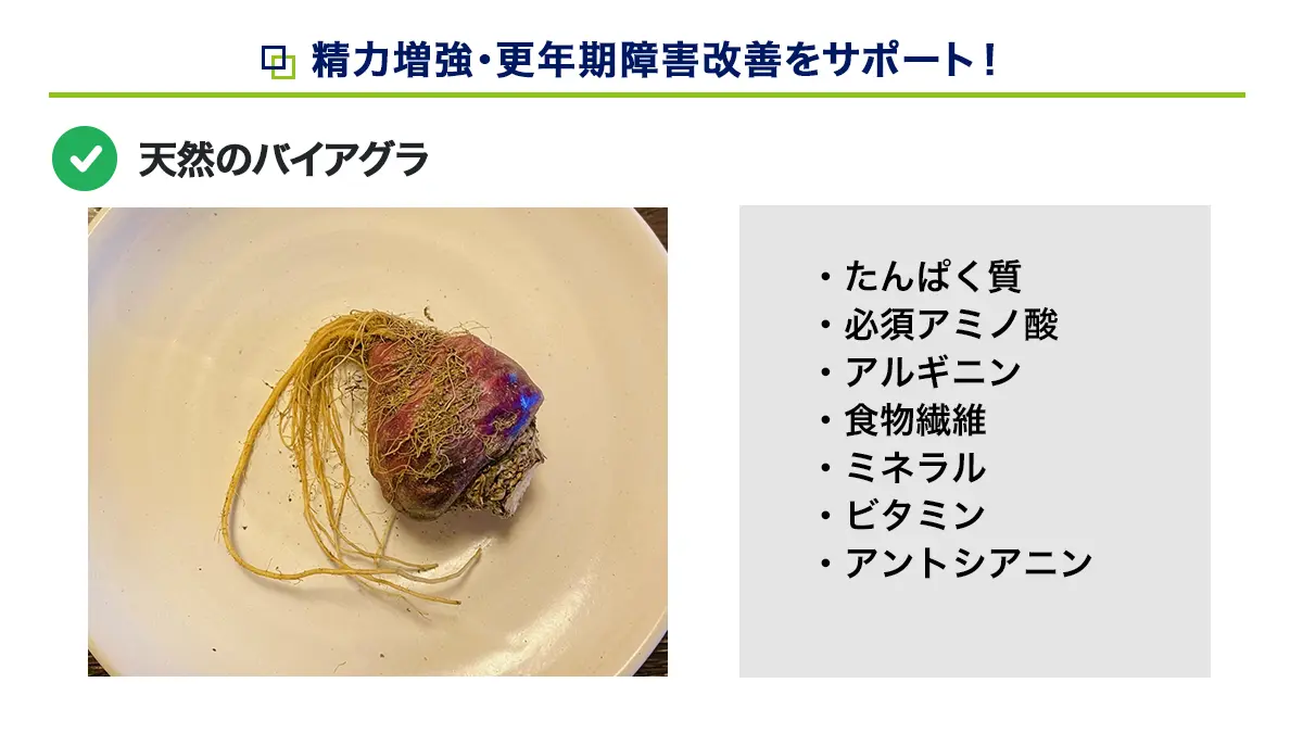 マカの効果