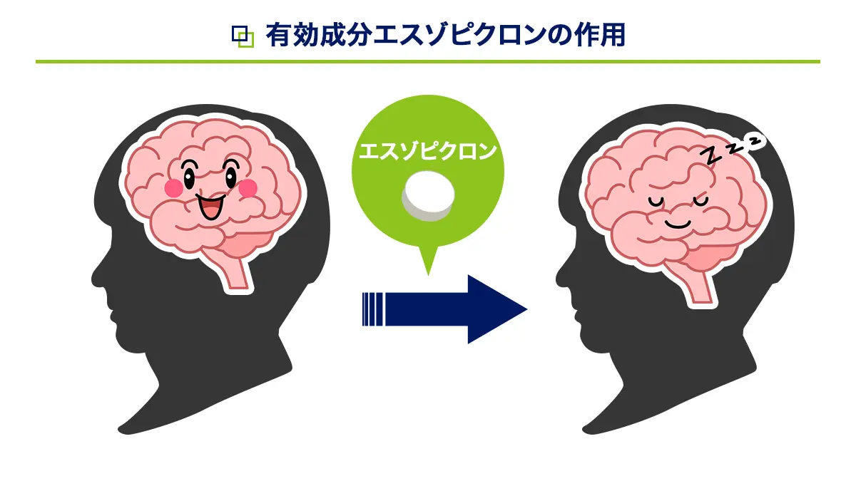 ハイプナイトの有効成分