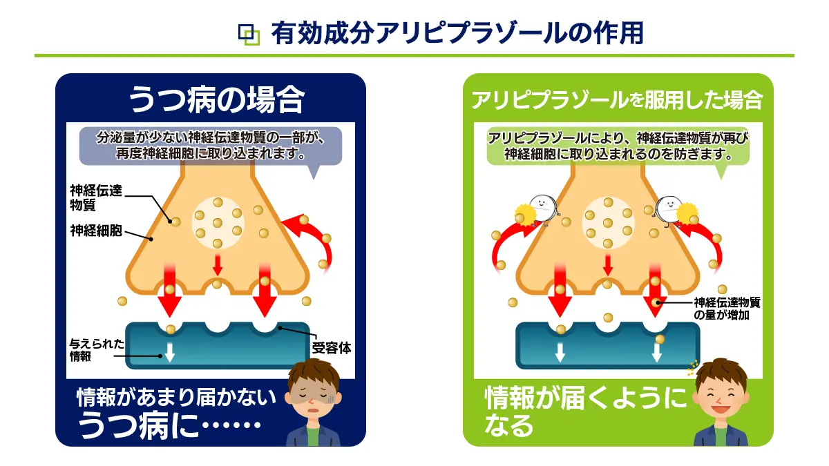 有効成分アリピプラゾールの作用