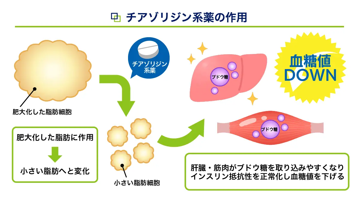 アクトスの効果