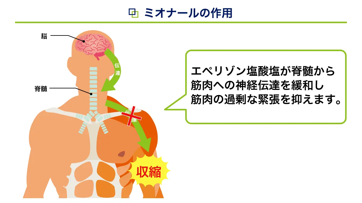 ミオナールの有効成分