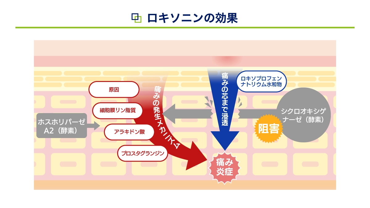世界で初めて製造販売されたED治療薬