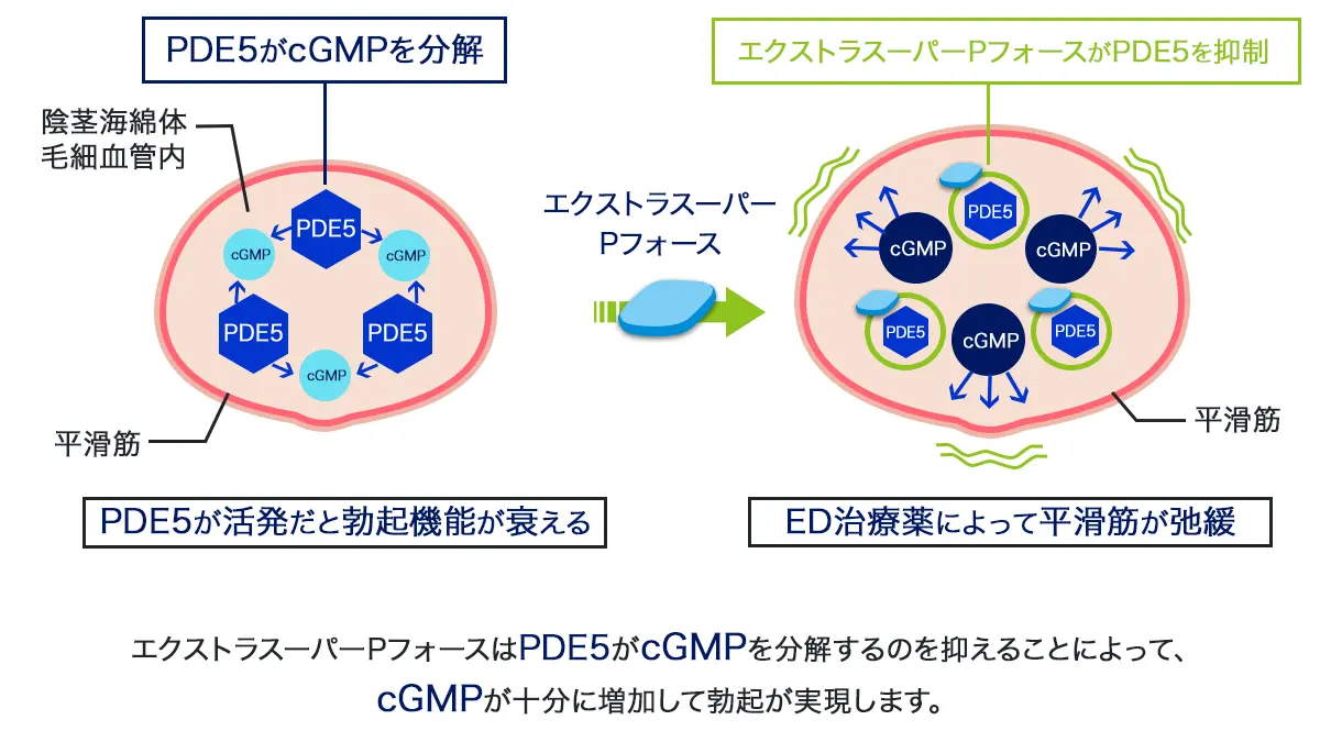 エクストラスーパーPフォースの効果