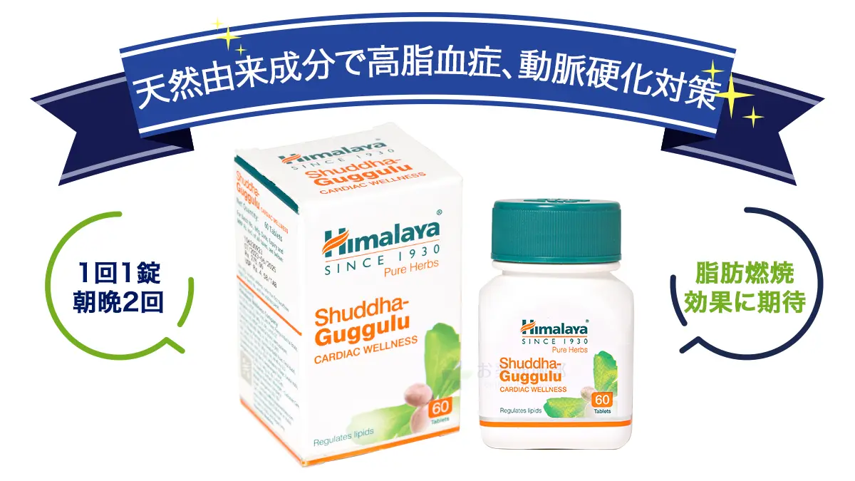 天然由来成分で高脂血症、動脈硬化対策