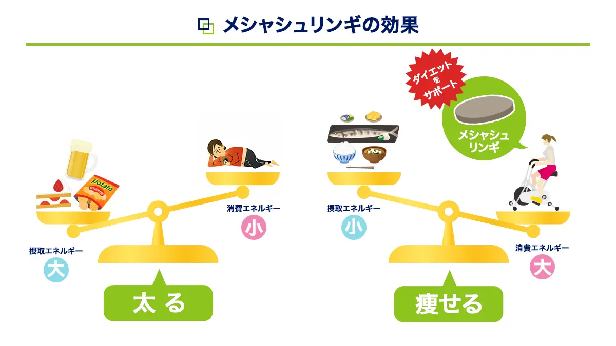メシャシュリンギの効果
