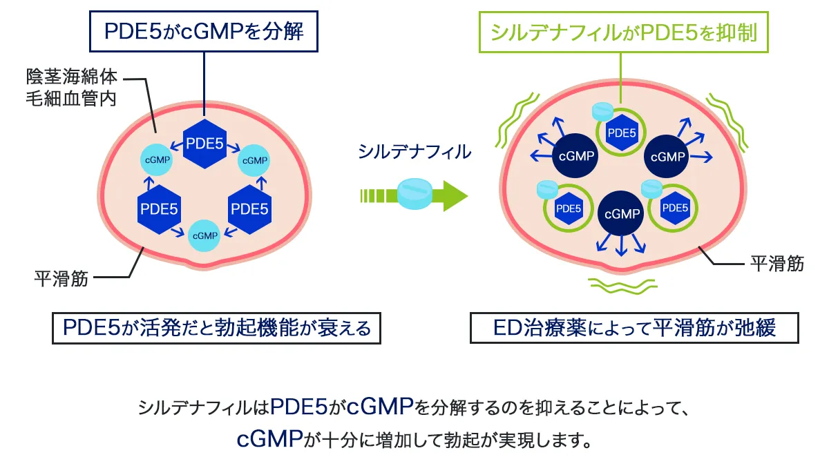 スーパーPフォースの効果
