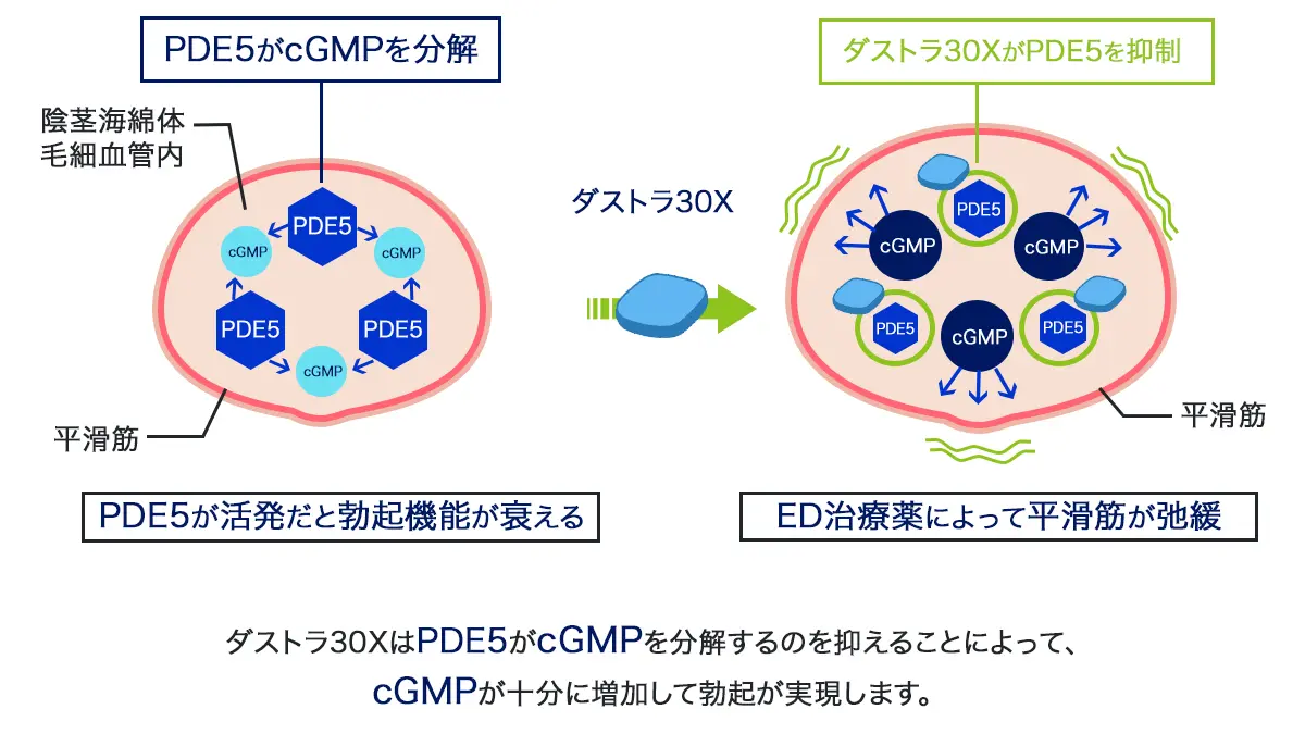 ダストラ30Xの効果