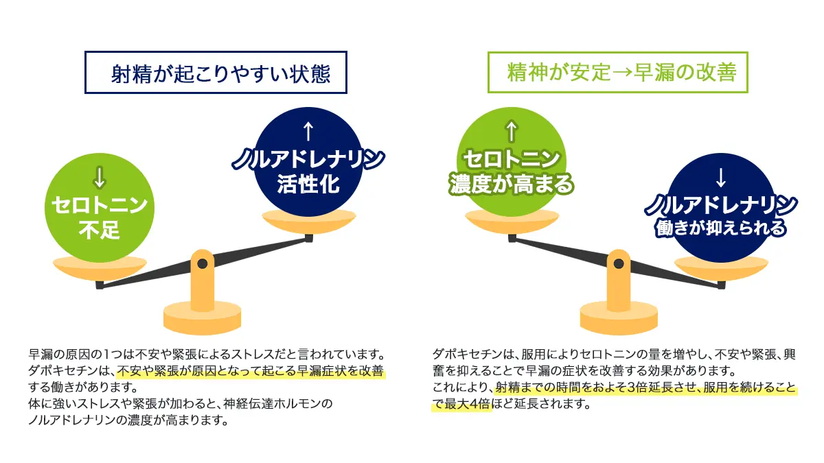 ダストラ30Xの早漏改善の仕組み