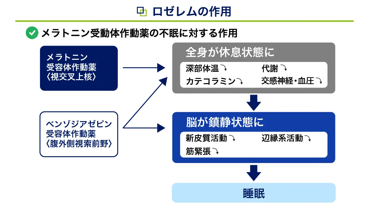 ロゼレムの適応症状