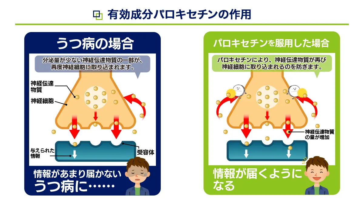 パロキセチンの有効成分
