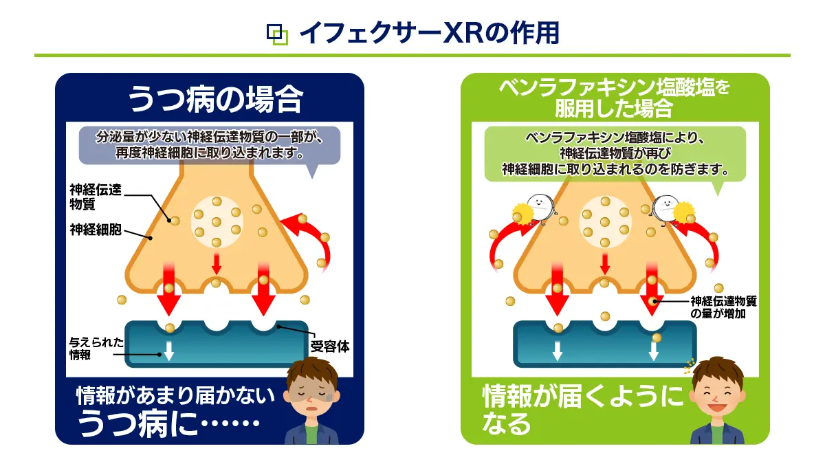イフェクサーXRの効果