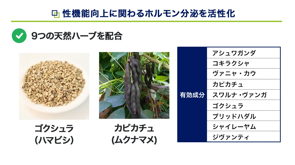 スペマンの効果