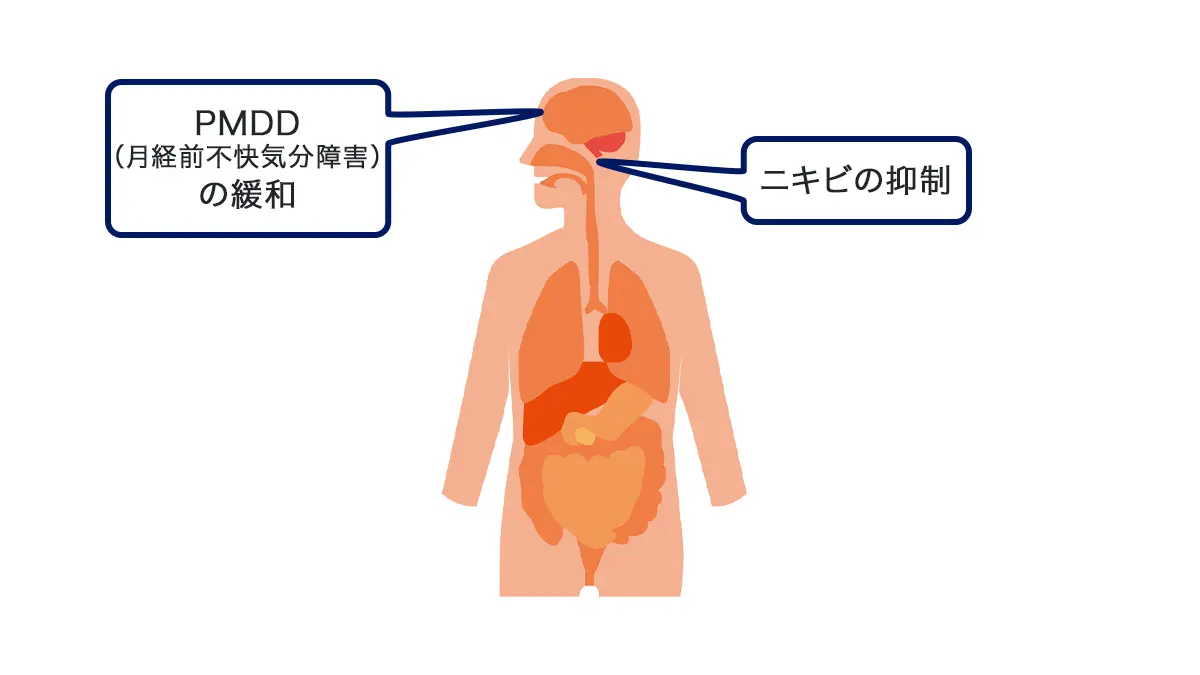 副次的メリット