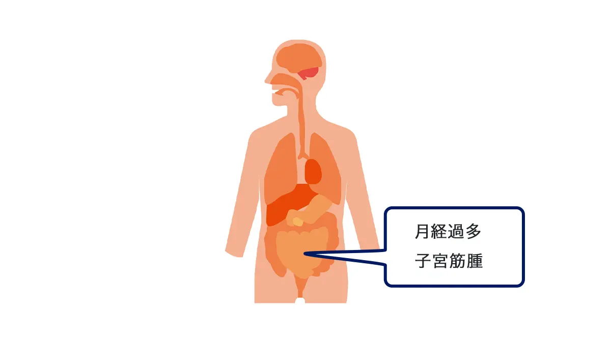 エラの副次的メリット