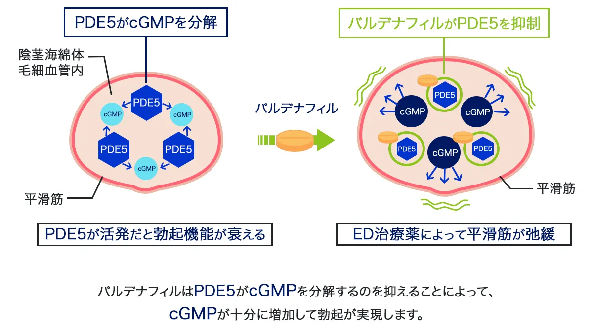 レビスマの効果