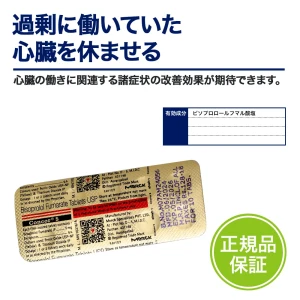 コンコール画像4